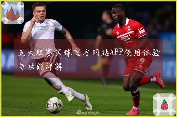 五大联赛买球官方网站APP使用体验与功能详解