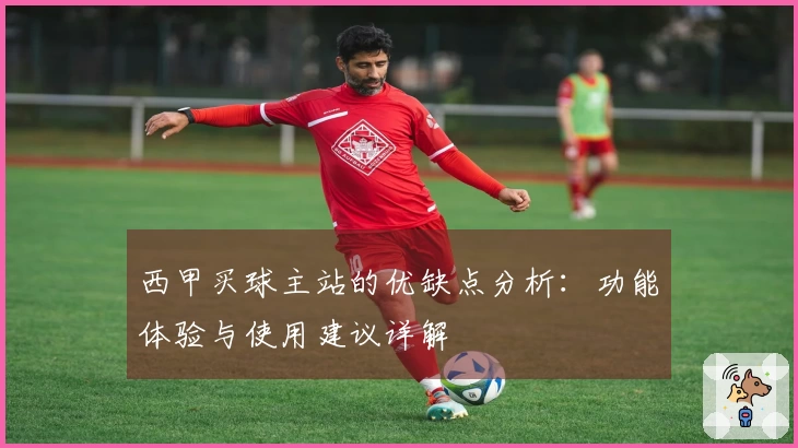 西甲买球主站的优缺点分析:功能体验与使用建议详解