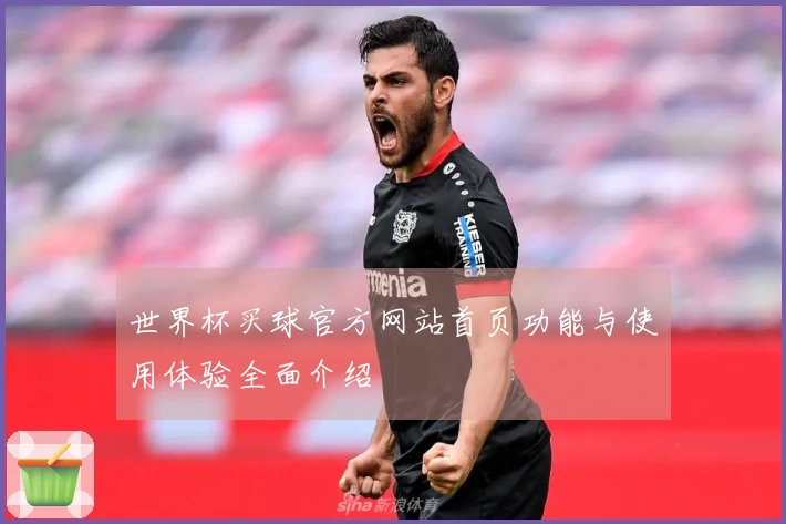 世界杯买球官方网站首页功能与使用体验全面介绍