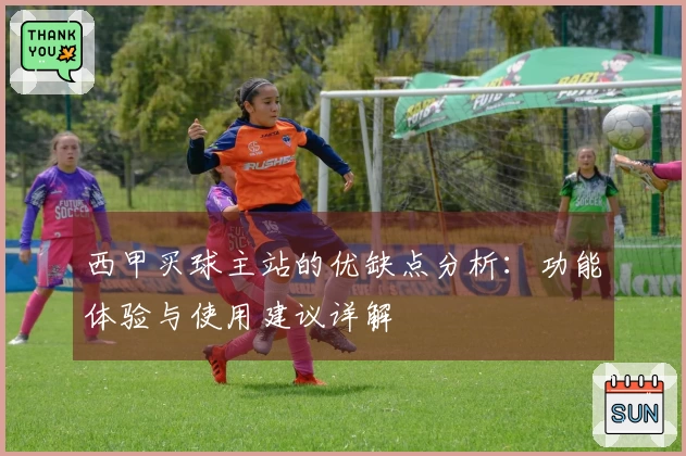 西甲买球主站的优缺点分析：功能体验与使用建议详解