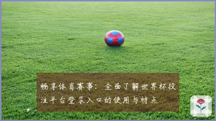 畅享体育赛事：全面了解世界杯投注平台登录入口的使用与特点