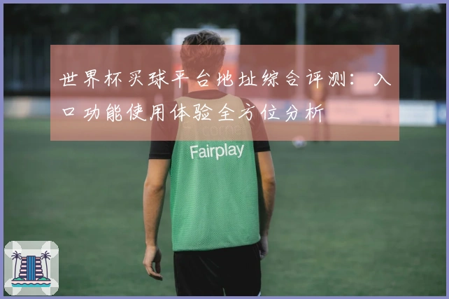 世界杯买球平台地址综合评测：入口功能使用体验全方位分析
