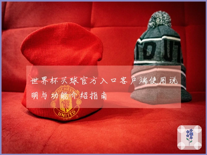 世界杯买球官方入口客户端使用说明与功能介绍指南