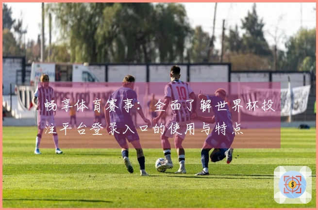 畅享体育赛事：全面了解世界杯投注平台登录入口的使用与特点