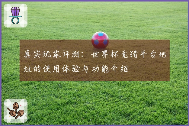 真实玩家评测：世界杯竞猜平台地址的使用体验与功能介绍